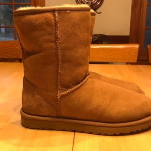 Women’s short UGGS